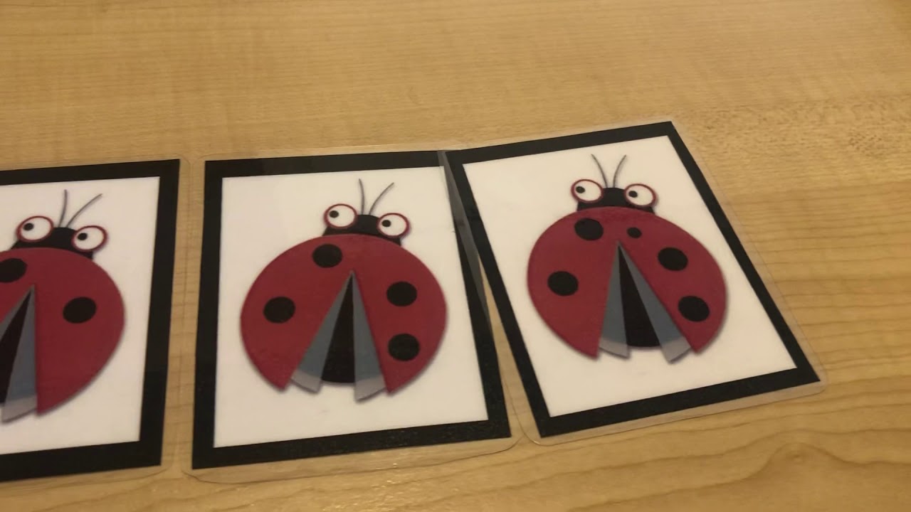 Counting Ladybug Spots (0-5)