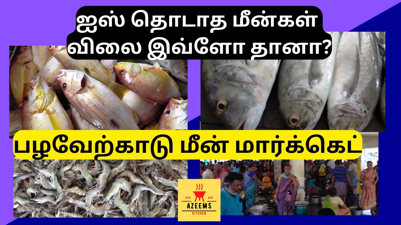 பழவேற்காடு மீன் மார்க்கெட் மீன் விலை இவ்ளோ கம்மியா | Pazhaverkadu fish market | Azeems kitchen