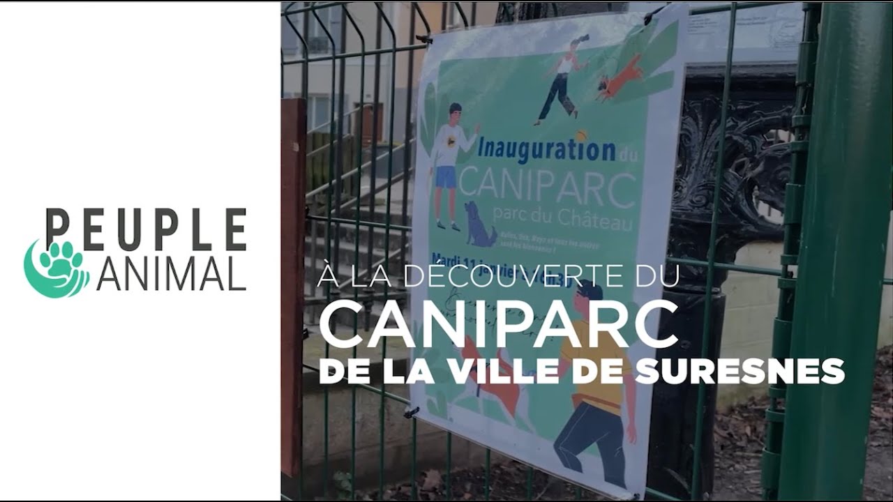 À la découverte du caniparc du Suresnes