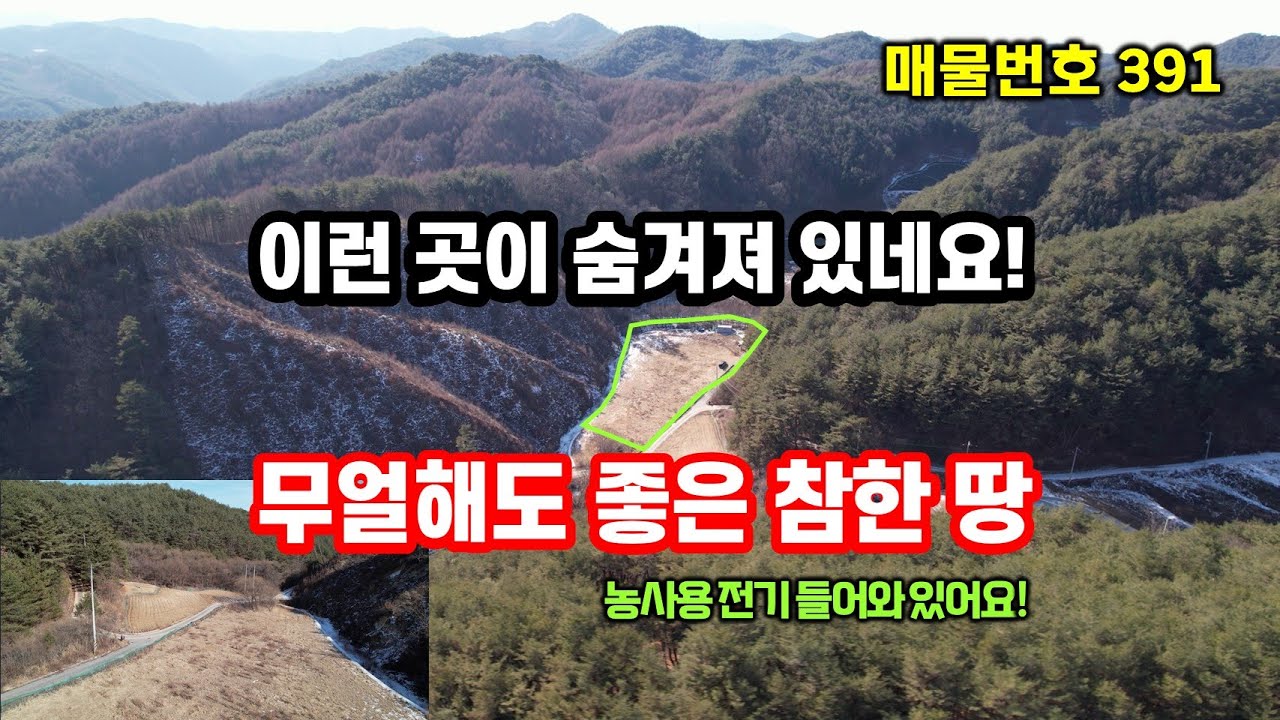 경북땅 시골땅 전기OK, 마을과 조금 떨어진 별천지 시골땅!! 귀농 귀촌 산골 염소 사육  싼 땅 추천~