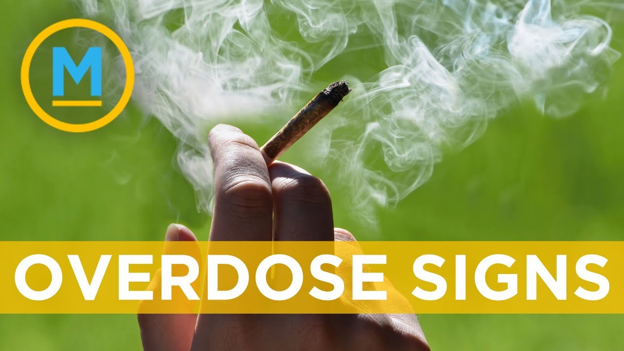How to spot a cannabis overdose | Your Morning