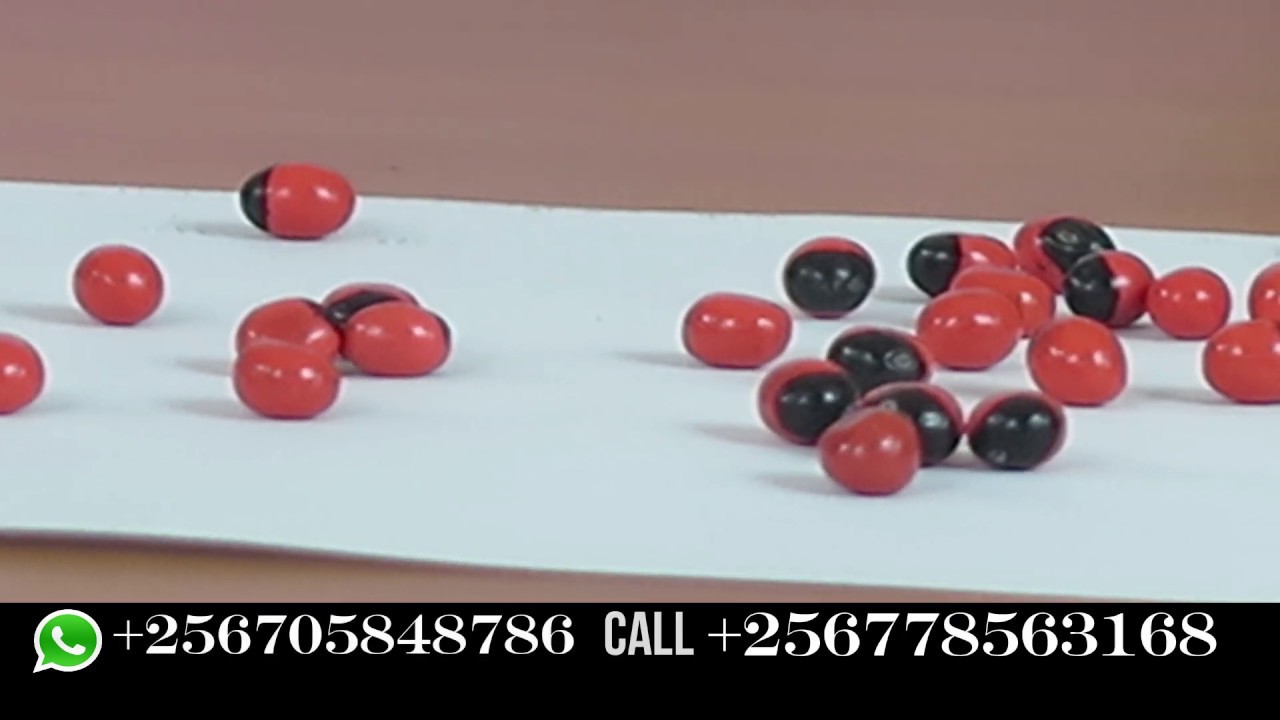 USES OF OLUSIITI, MUWOOMYA MANA OLUSIITISITI SENGA BY KANSIIWA STORE