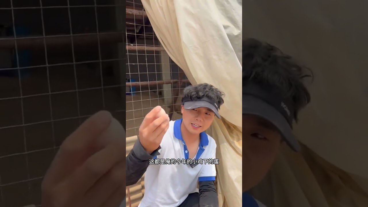 今天大扫除，鸡到处下蛋#记录我的农村生活 #我的乡村生活 #抖音新农人