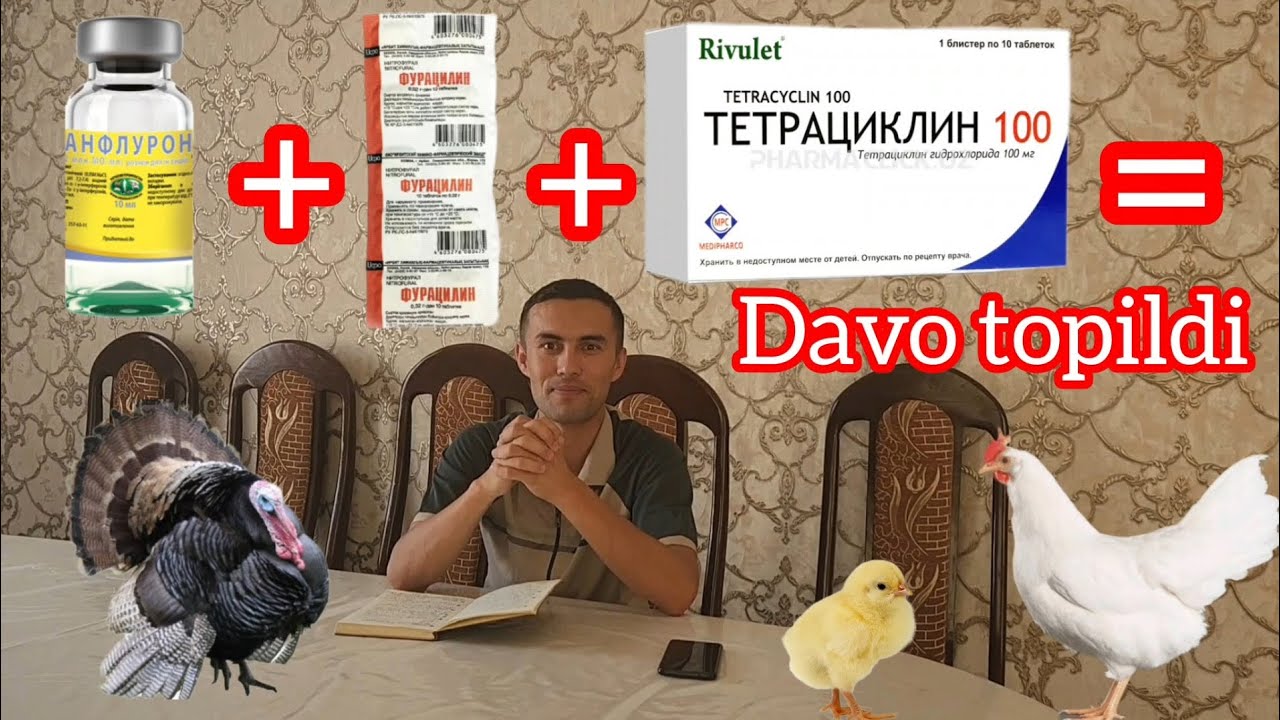 PARRANDA CHECHAGINI DAVOLASHNI ODDIY SIRI TOPILDI, UY SHAROITIDA
