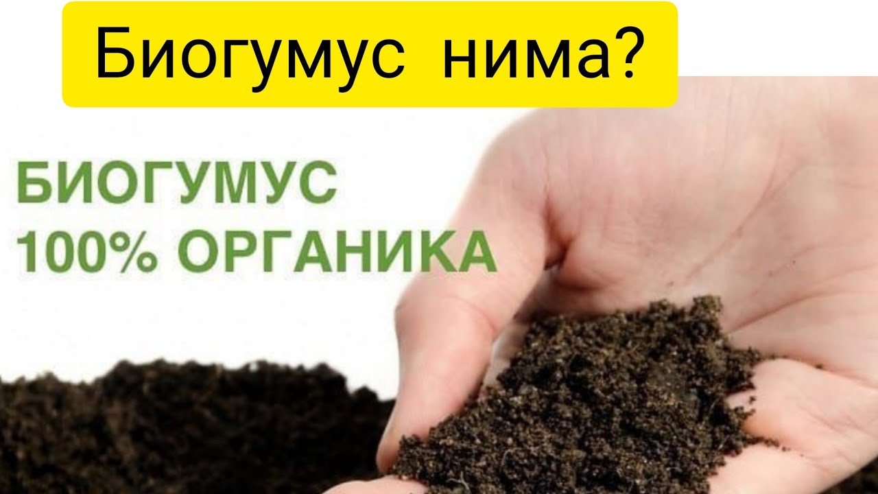 БИОГУМУС НИМА. BIOGUMUS NIMA. 99-770-21-43. 94-462-08-86
