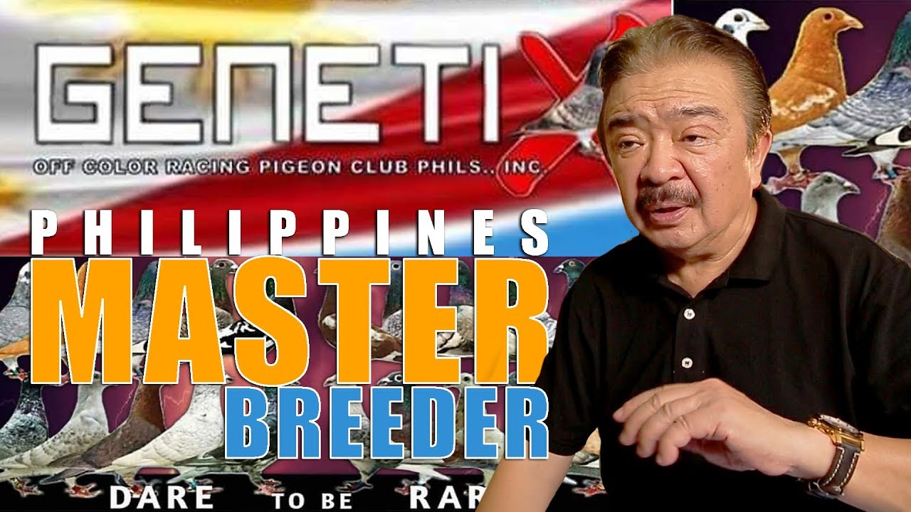 Master Breeder of the Philippines aka. Jaime Jimi Lim
