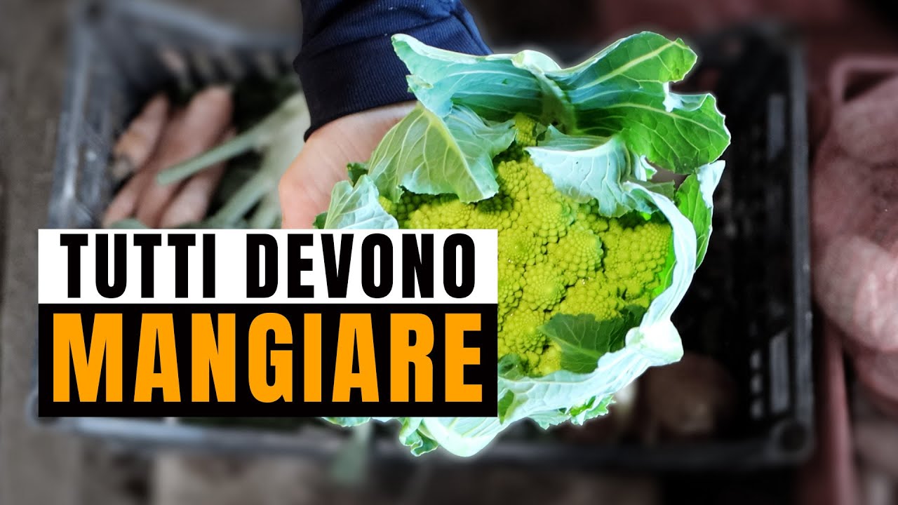 Coltivare il Futuro su Terre Pubbliche - Cooperativa Coraggio Episodio 2