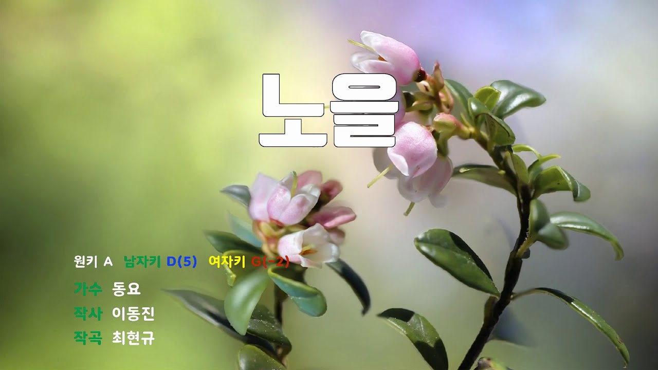 [은성 반주기] 노을 - 동요