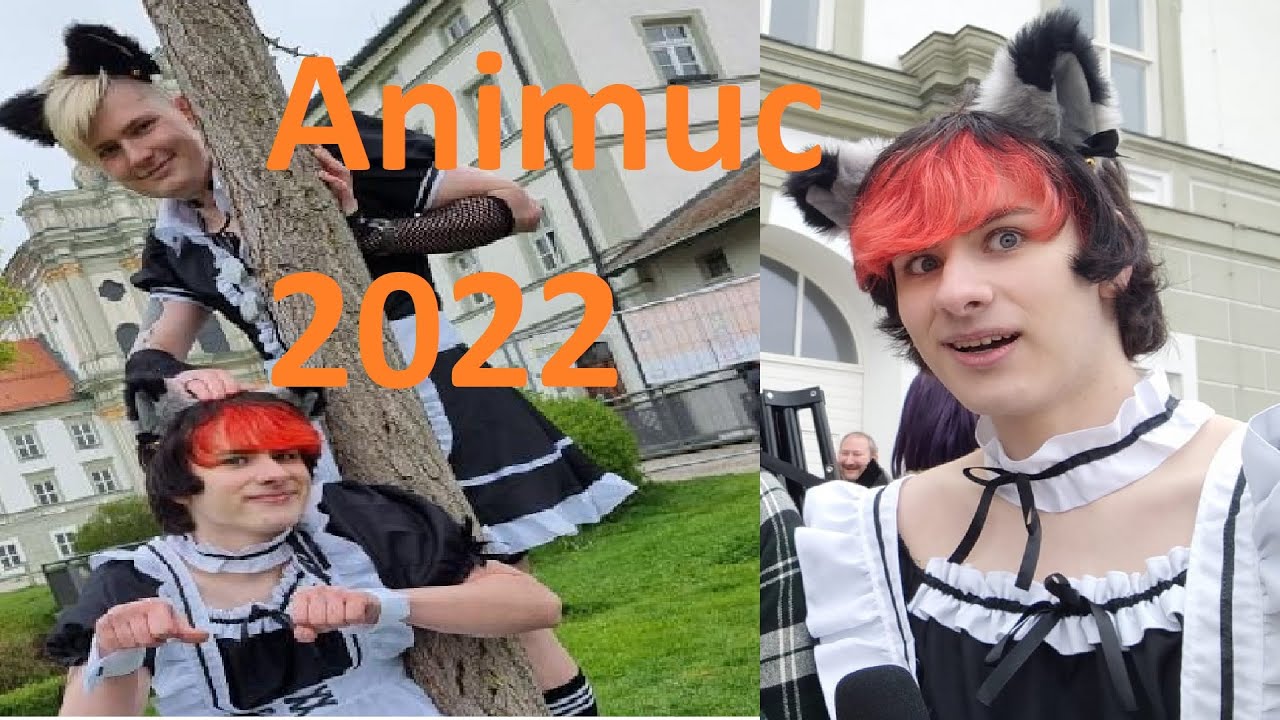 Zwei Catboys auf der Suche nach Genshin Impact