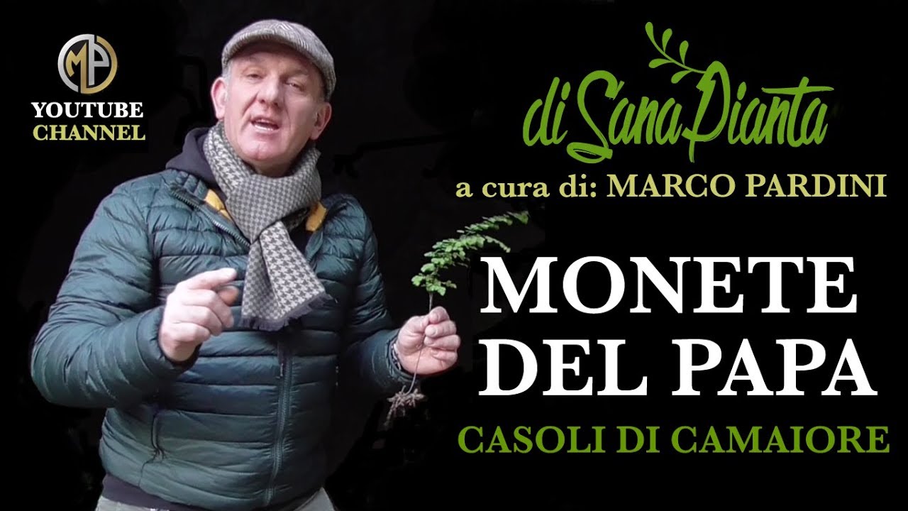 MONETE DEL PAPA