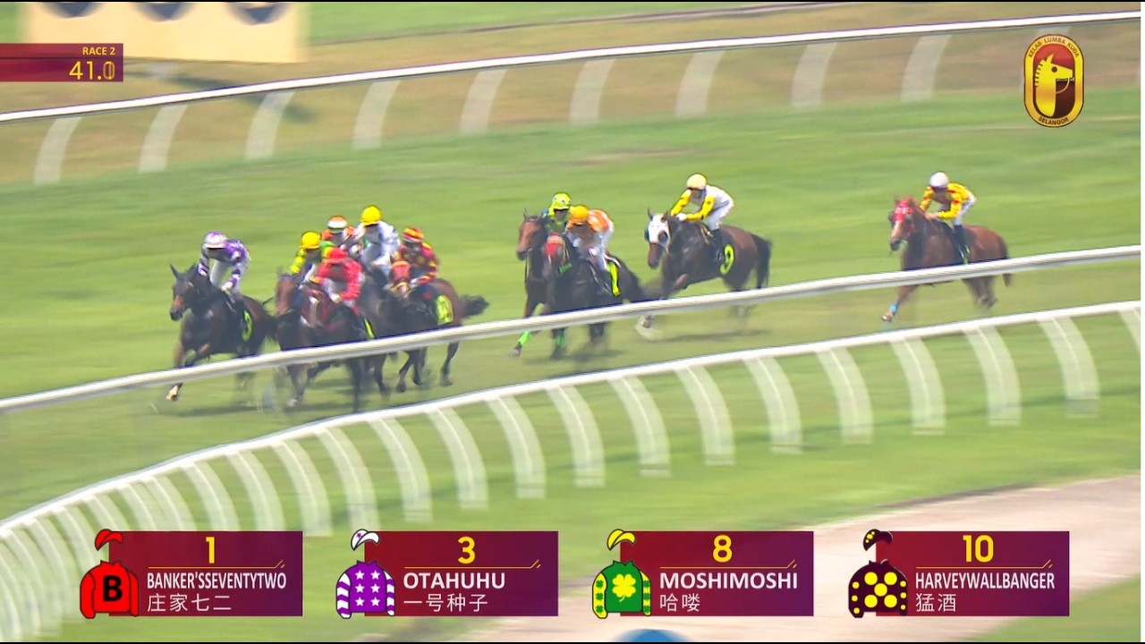 15 FEB 2026 RACE 2