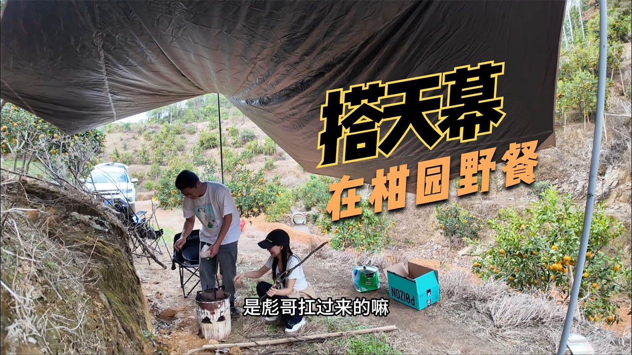 905Q：对接快递把直播点都选好，期待已久柑橘很快开卖，搭天幕户外野餐