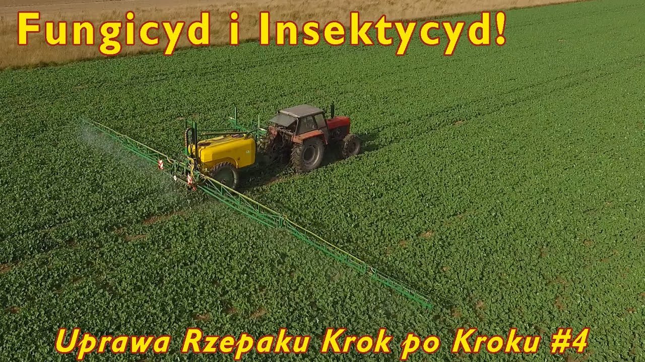Oprysk Fungicydem i Insektycydem | Dafne, Los Ovados | Uprawa Rzepaku Krok po Kroku #4 [vlog#54]