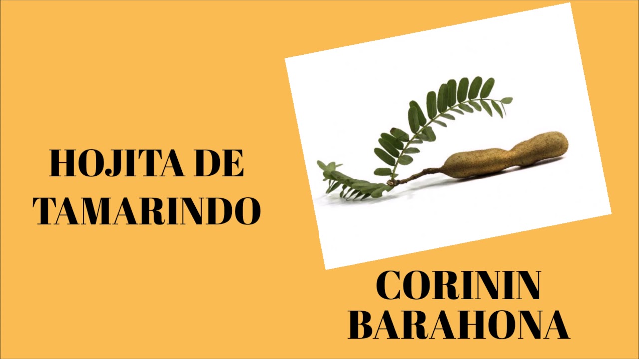 HOJITA DE TAMARINDO  - CORININ BARAHONA