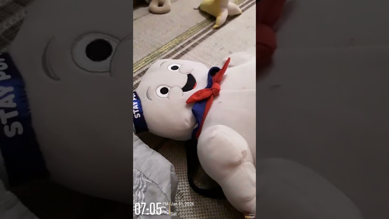 Itstv: dinosaur puppet's brother!