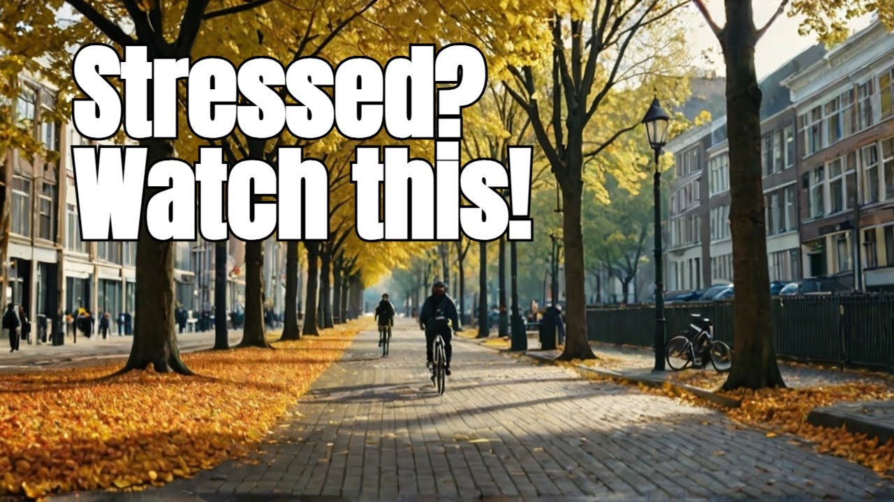 CYCLING THROUGH THE STREETS OF Rotterdam 4K 60FPS | Autumn in the Netherlands