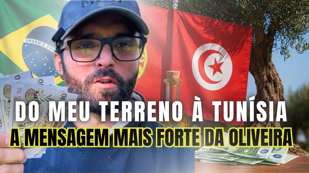 BRASIL|TUNÍSIA - OLIVEIRAS: HISTÓRIA, FÉ, ECONOMIA E VIDA — NO MEU TERRENO EM PORTUGAL 🇵🇹