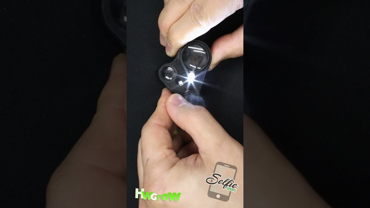 How to See Trichomes?  Cheap Closeup Photography & Video Hack