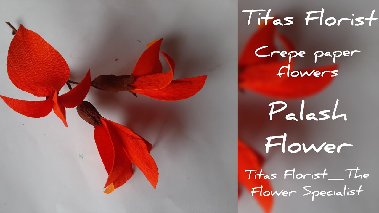 Palash Flower/Sacred Flower|Crepe Paper Flowers|Titas Florist|#V_48