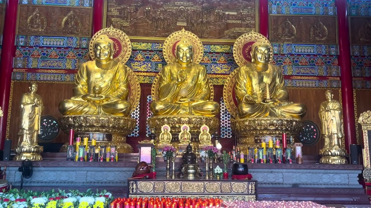 พามูรับโชคดี