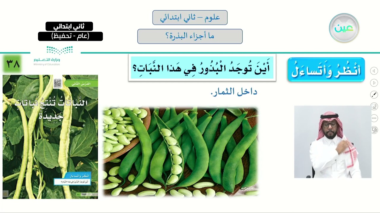 ما أجزاء البذرة؟ - العلوم - ثاني ابتدائي
