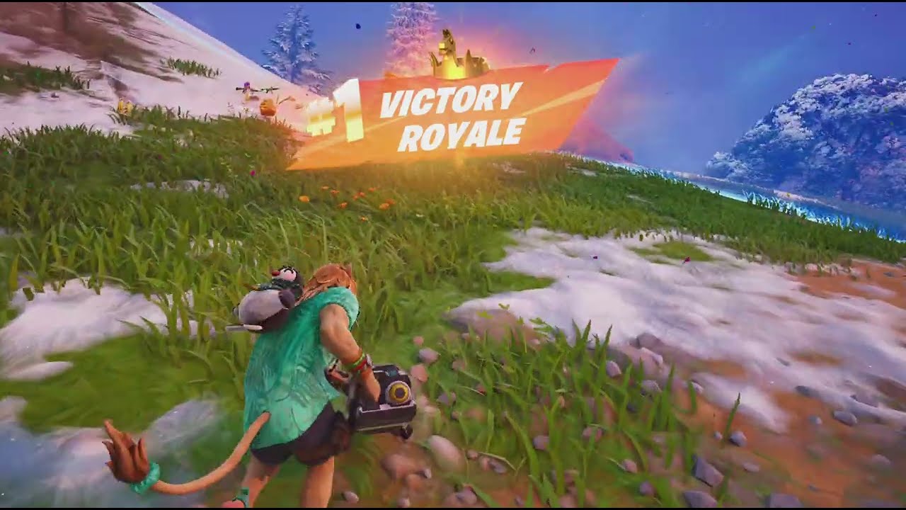 Fortnite battle royal winner
