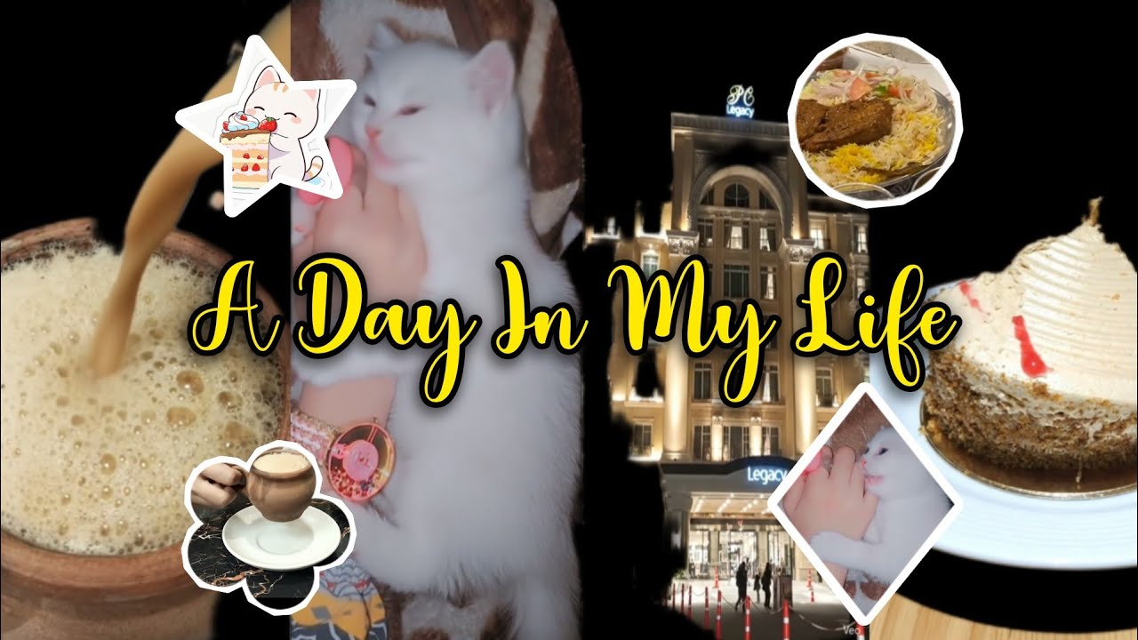 A day in my life🌸 A very peaceful day 🌷#minivlog #shortfeed  #calmvibesonly #birds #dailyliving