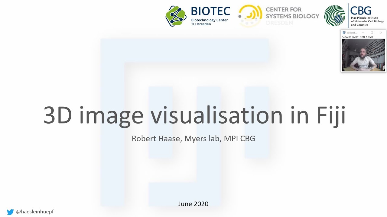 12b 3D Image Visualisation in Fiji
