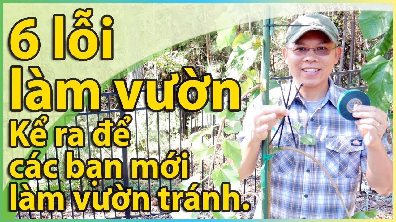 6 lỗi làm vườn – kể ra để các bạn mới làm vườn tránh