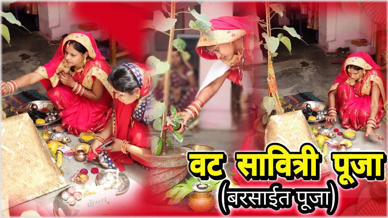 Vat Savitri Puja | वट सावित्री व्रत पूजा | बरसाईत पूजा | #_Narendrarthrnkr Seoni (Champa) 2019