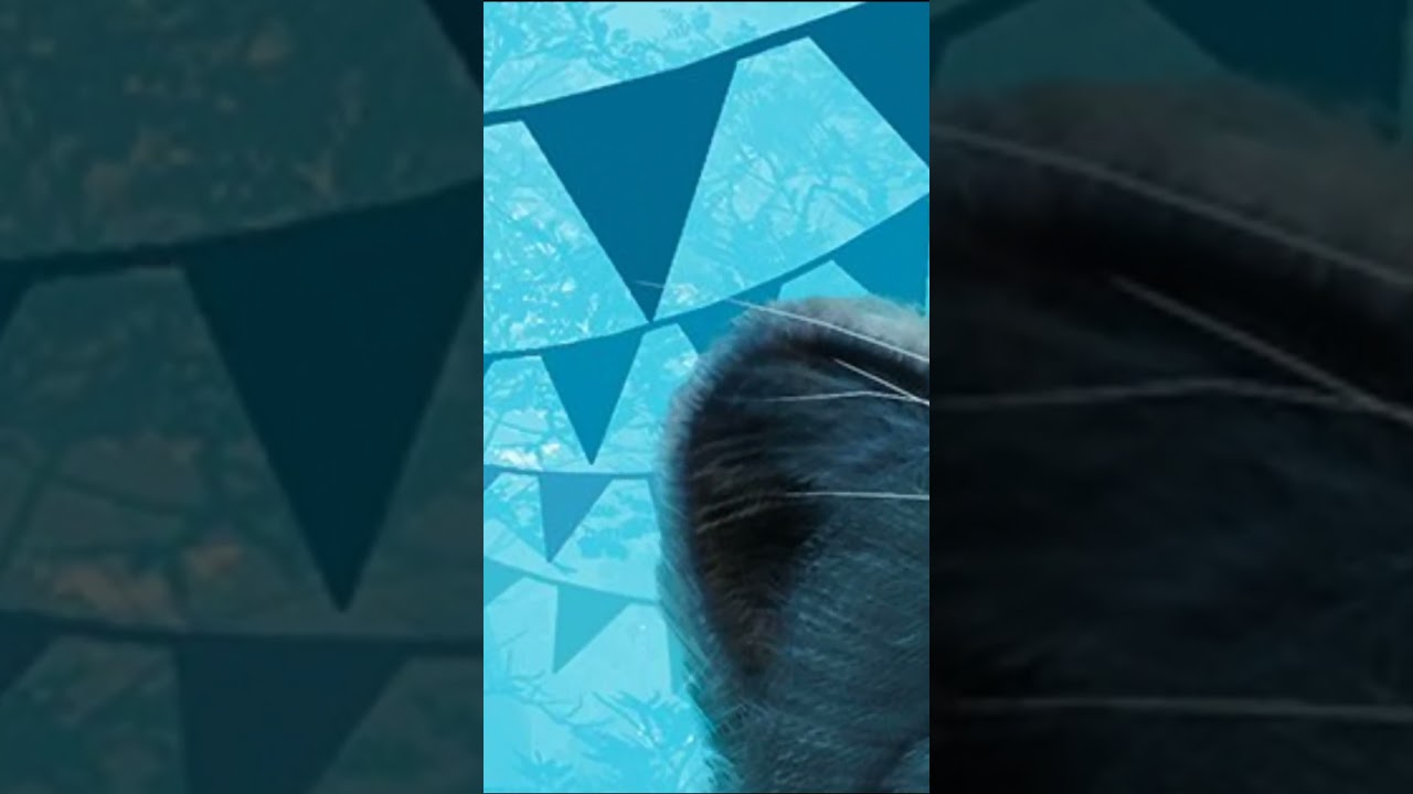 Another Animal Spotted in the new Planet Zoo DLC Cover-Art #planetzoo