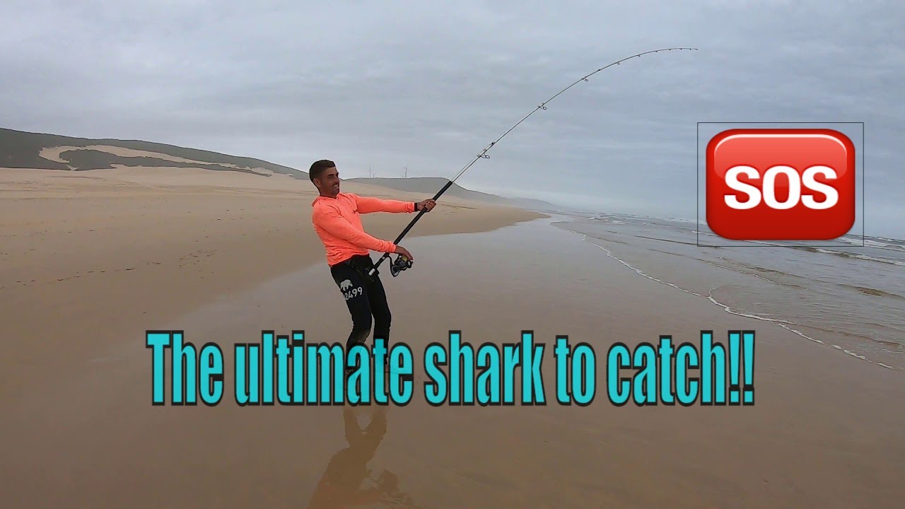 Ловля бронзовых китобойных акул в Порт-Элизабет, Южная Африка