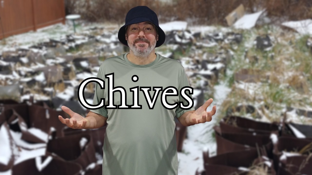 Grower Reveals How I ACTUALLY Start Chives From Seed