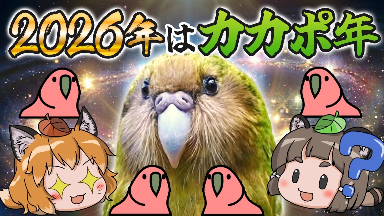 【超朗報】2026年はカカポの