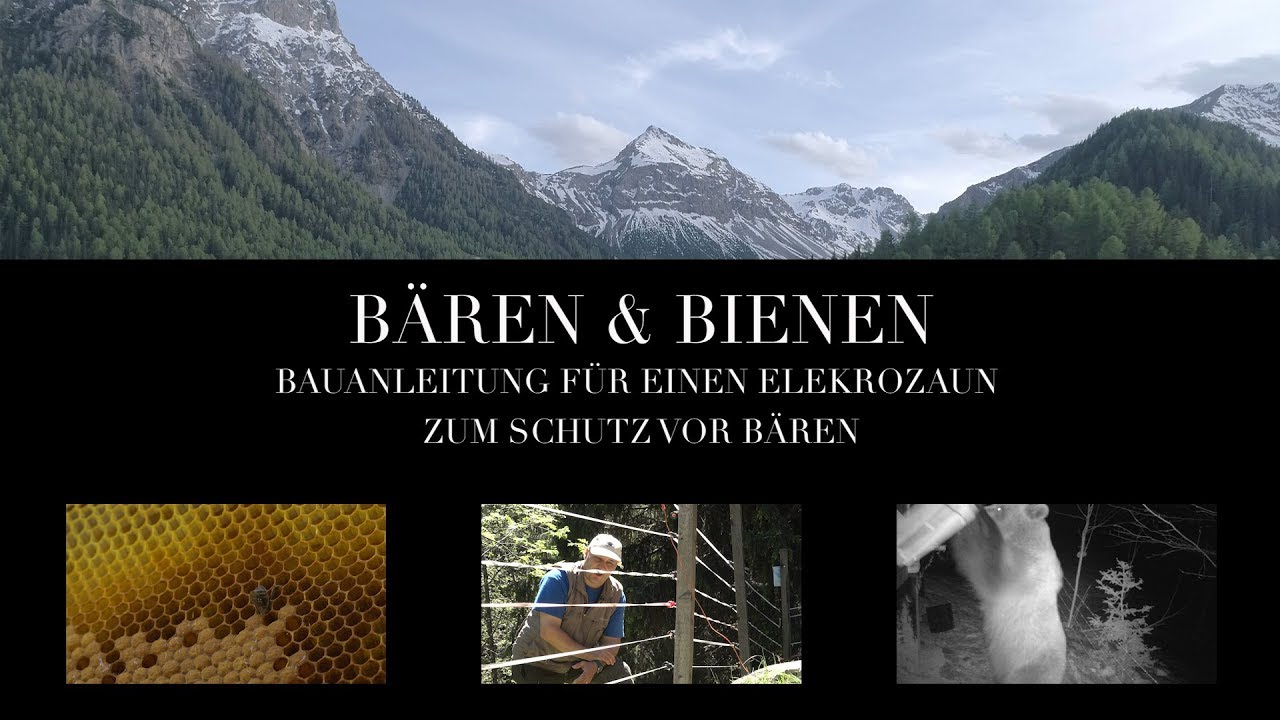 Anleitung zum Bau eines Elektrozauns zum Schutz von Bienen vor B&auml;ren