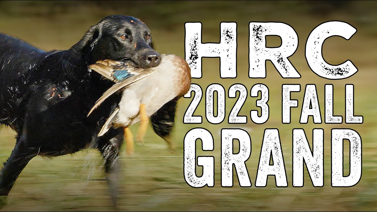 Осенний гранд HRC 2023