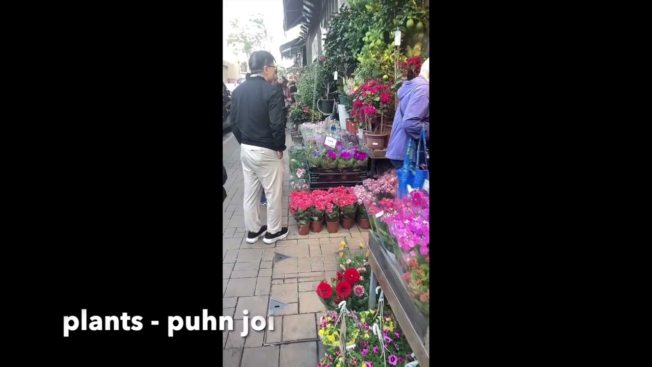 Episode 555 - Flower Market : Fa Yuen Street- Fa heui #amyleung #cantonese #flowermarket