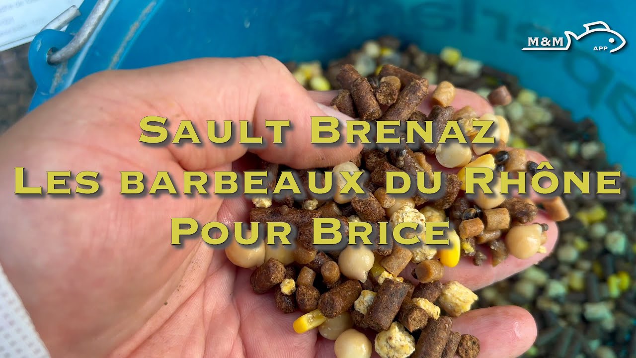 Pêche au BARBEAUX au HEAVY FEEDER dans le RHONE à SAULT BRENAZ