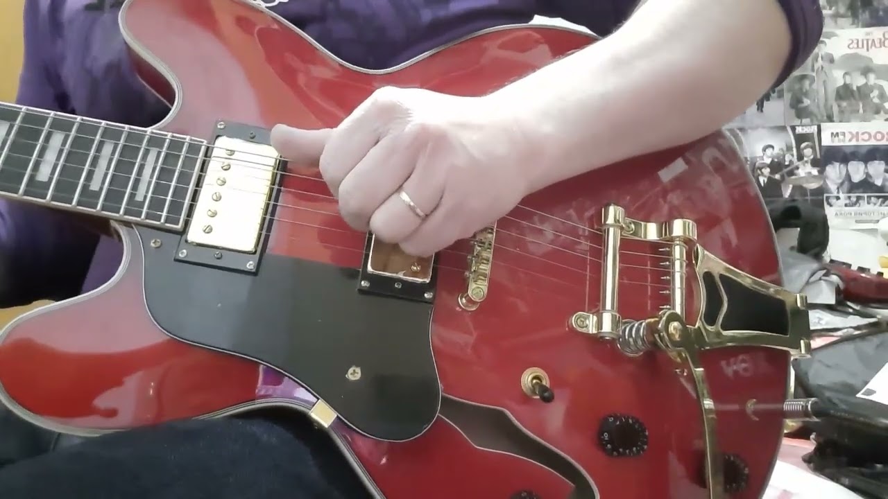 Олег Ратушный-Gibson Custom Es-335 Bigsby tremolo. Made in China. 
