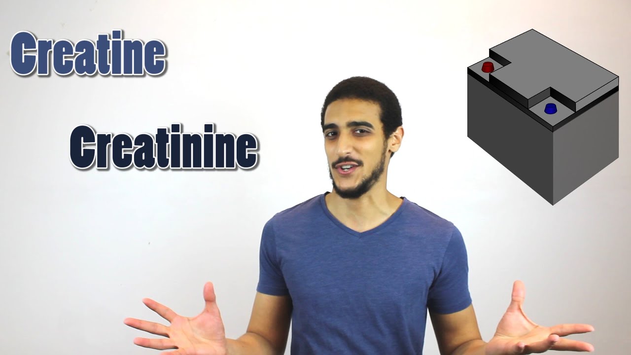 Creatine Metabolism شرح بالعربي