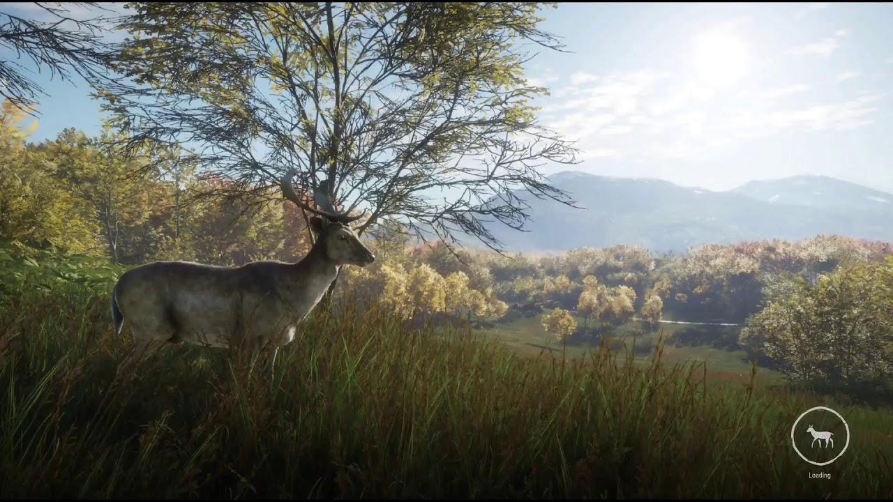 Can we spawn the Great One Wild Boar on stream?🤔