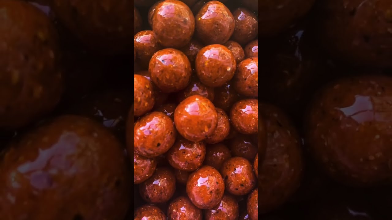 Carp Fishing Boilies made from my 1 egg recipe in an earlier video.