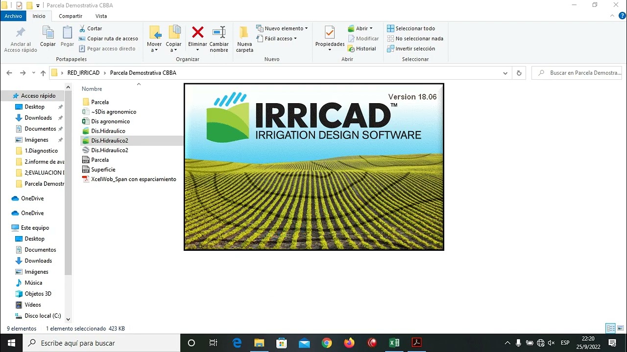 DISEÑO DE RIEGO PARCELARIO CON IRRICAD