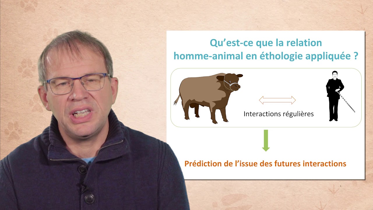 Relation humain-animal en élevage, regards croisés d'un éthologiste et d'une vétérinaire praticienne