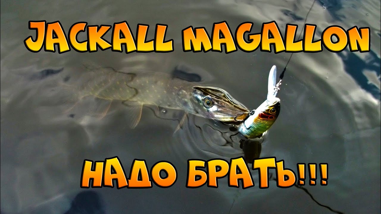 Jackall Magallon - воблер на щуку маст хэв, нюансы использования