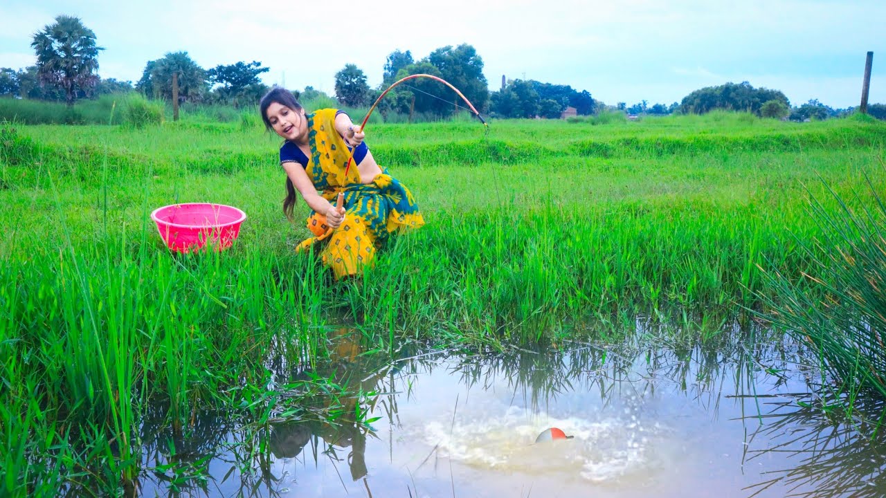 Fishing Video || Beautiful Girl Always Catches Fish in the Village Field Ditch || Hook Fishing