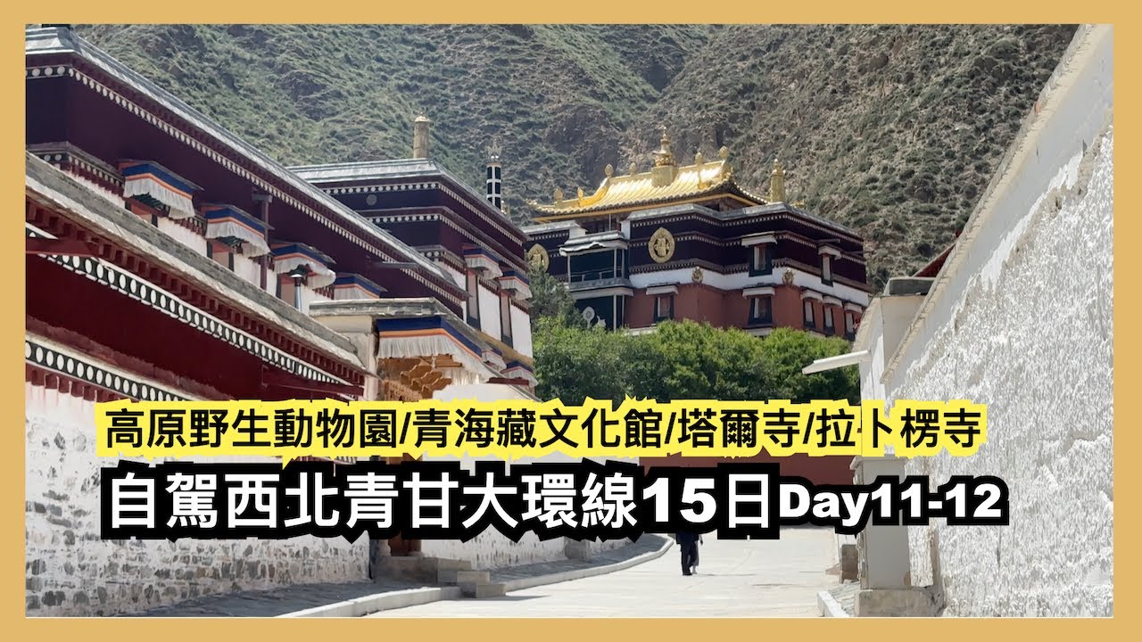 高原野生動物園︱青海藏文化博物館 ︱塔爾寺︱桑科草原︱甘加草原︱拉卜楞寺 ︱自駕西北青甘大環線15日day11-12︱
