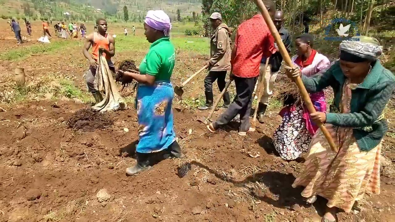 FOBASI muri Ruvune: Gicumbi mu buryo bushya bwo guhinga buzahindura ubuzima bw’abaturage! 🌱🚜