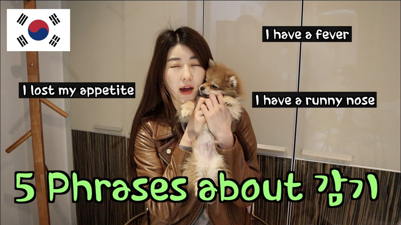5 Must-Know Korean Phrases for When You Catch a Cold 🤧🇰🇷