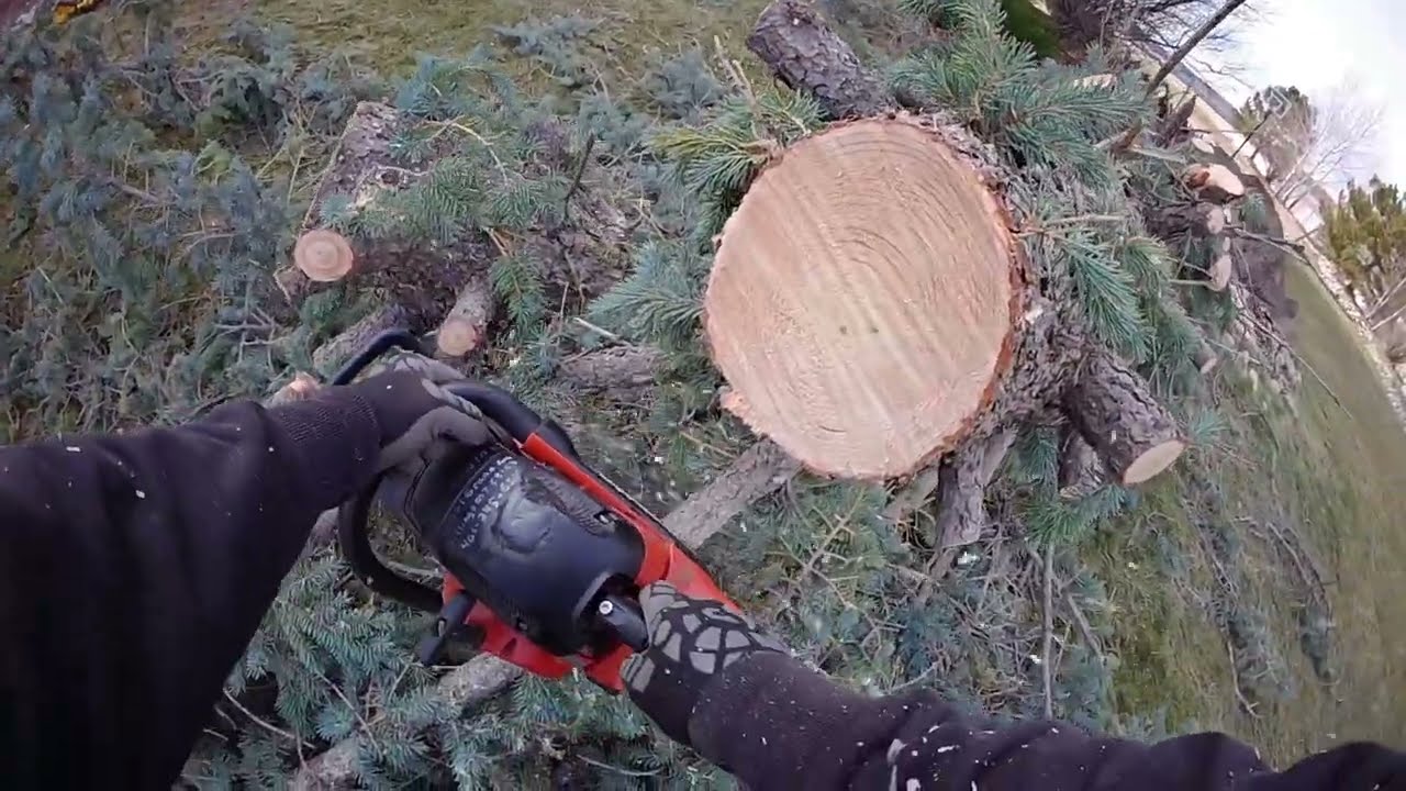 MT. Chainsaw massacre !😲
